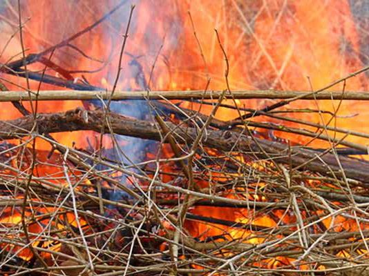 brush-burning_edited