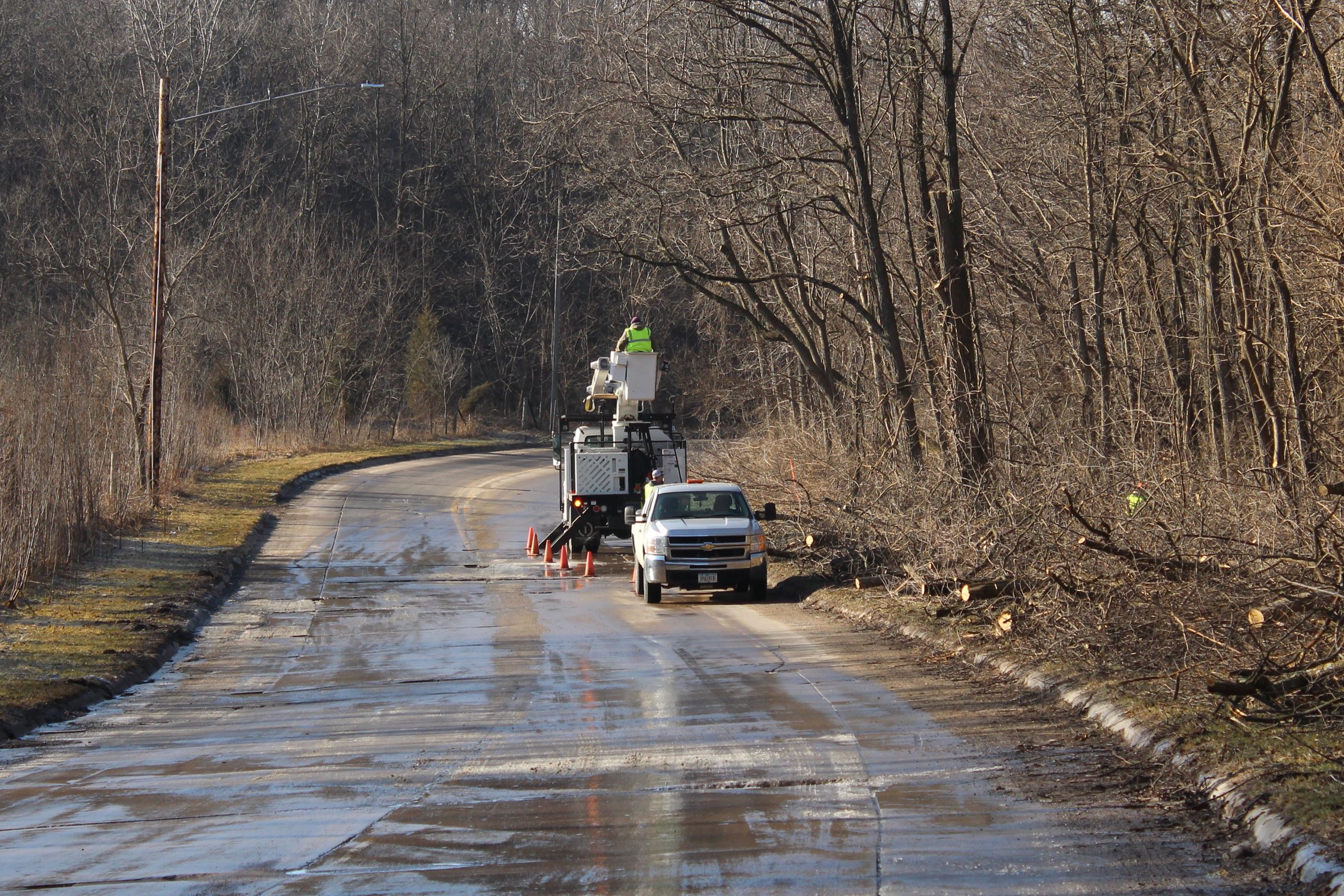 Trees running along Houser Street get a trim (JPG)