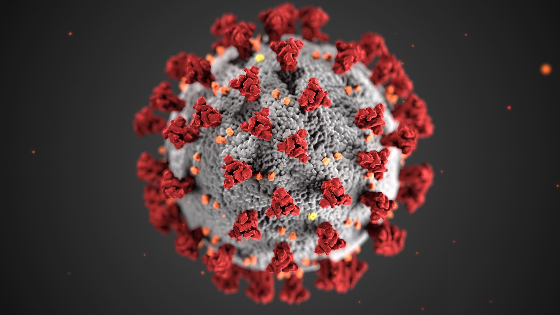 Coronavirus (JPG)