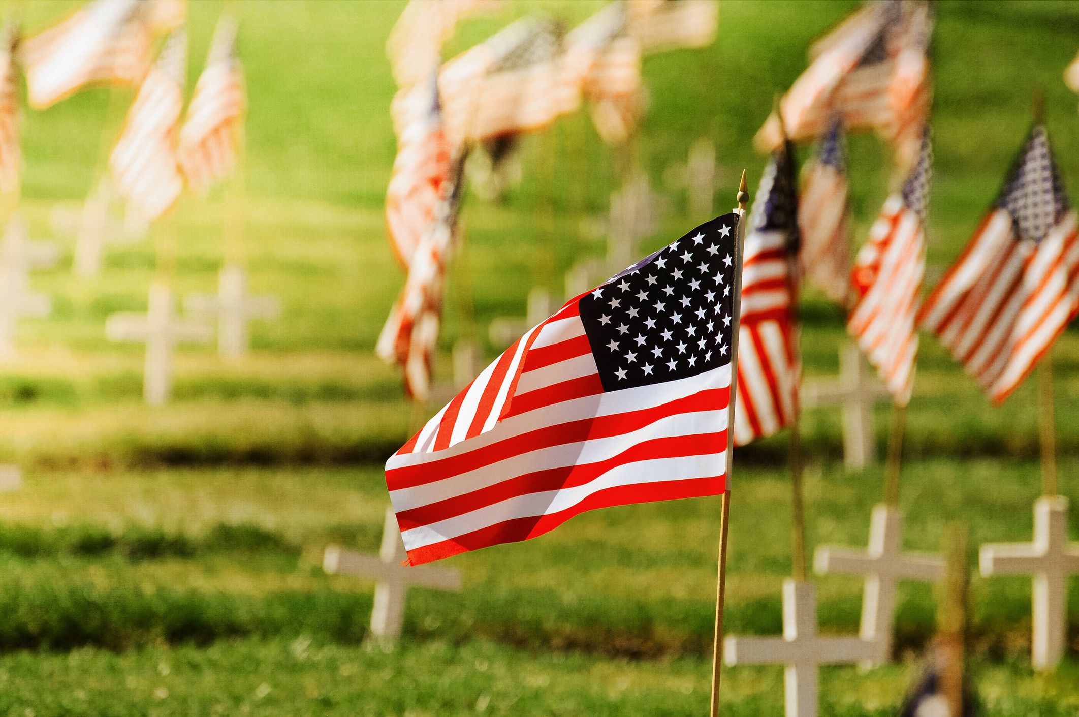 Memorial Day 2020 B (Flags in cemetery) (JPG)