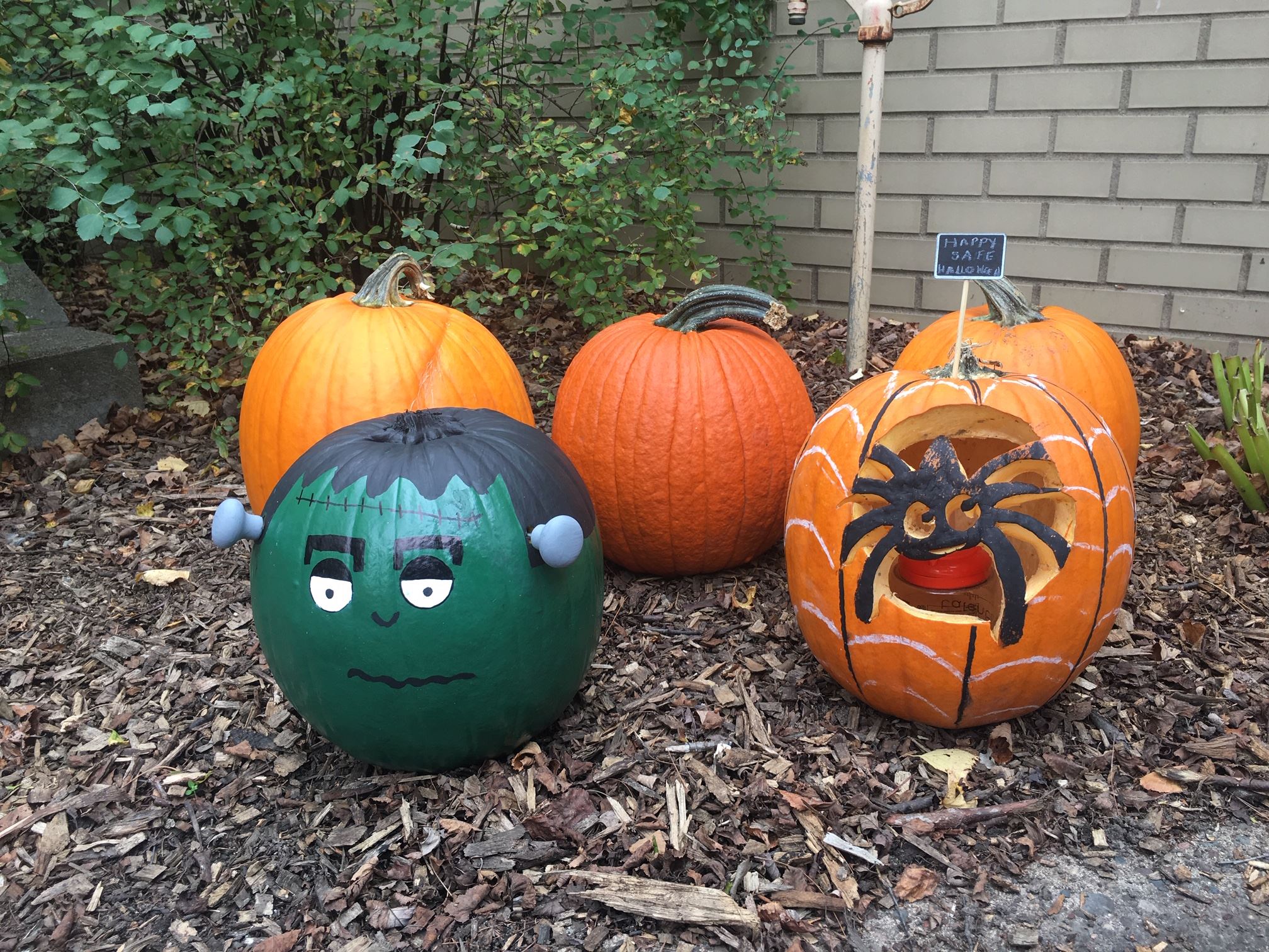2020 Jack O Lanterns at the Art Center 01 (JPG)