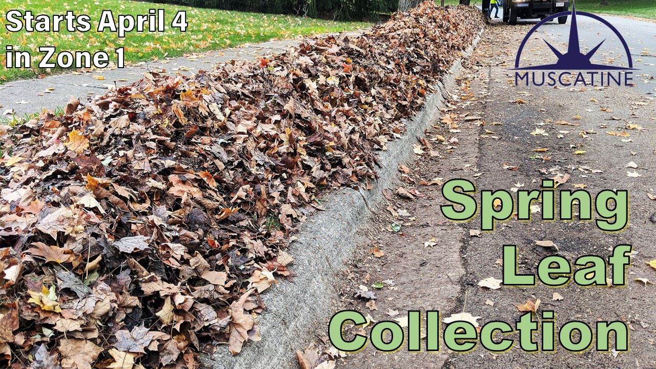 Spring Leaf Collection 2022 (JPG)