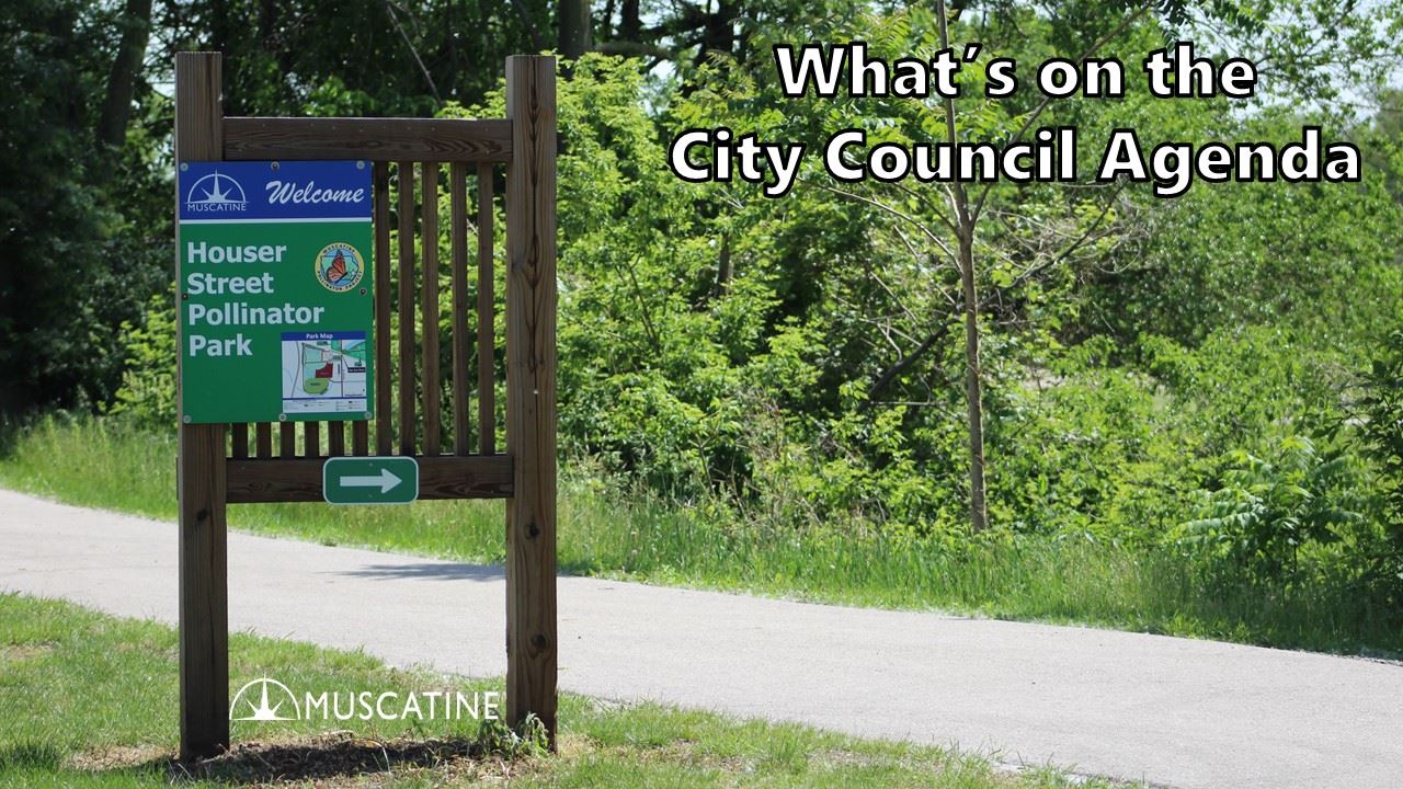 What is on the June 2 Council agenda (JPG)