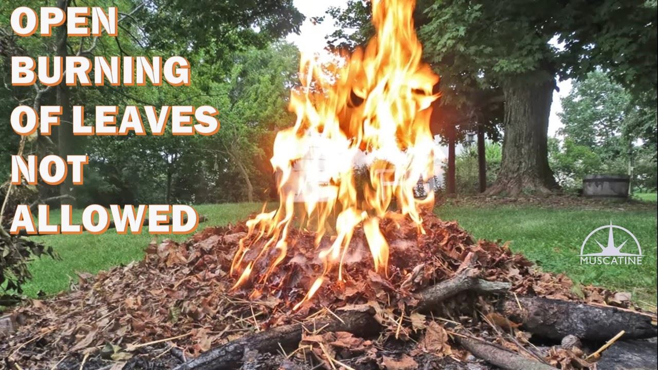 Open Burning of leaves not allowed in Muscatine (JPG)