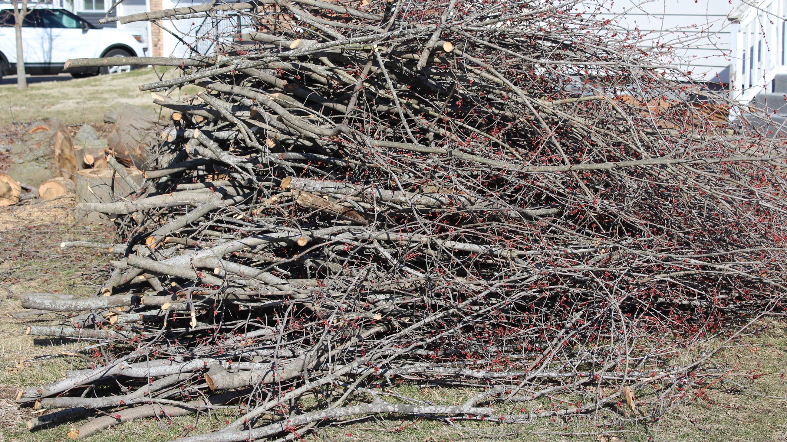 Tree Debris piled by homeowners near curb (JPG) 032723