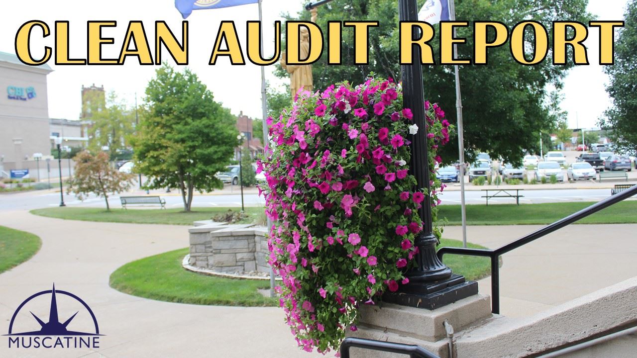 Clean Audit Report (JPG)