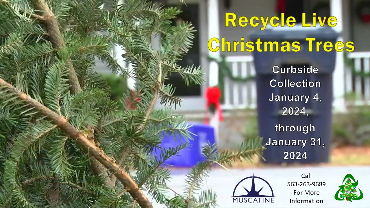 2024 Christmas Tree Recycling Promo Wide (JPG)