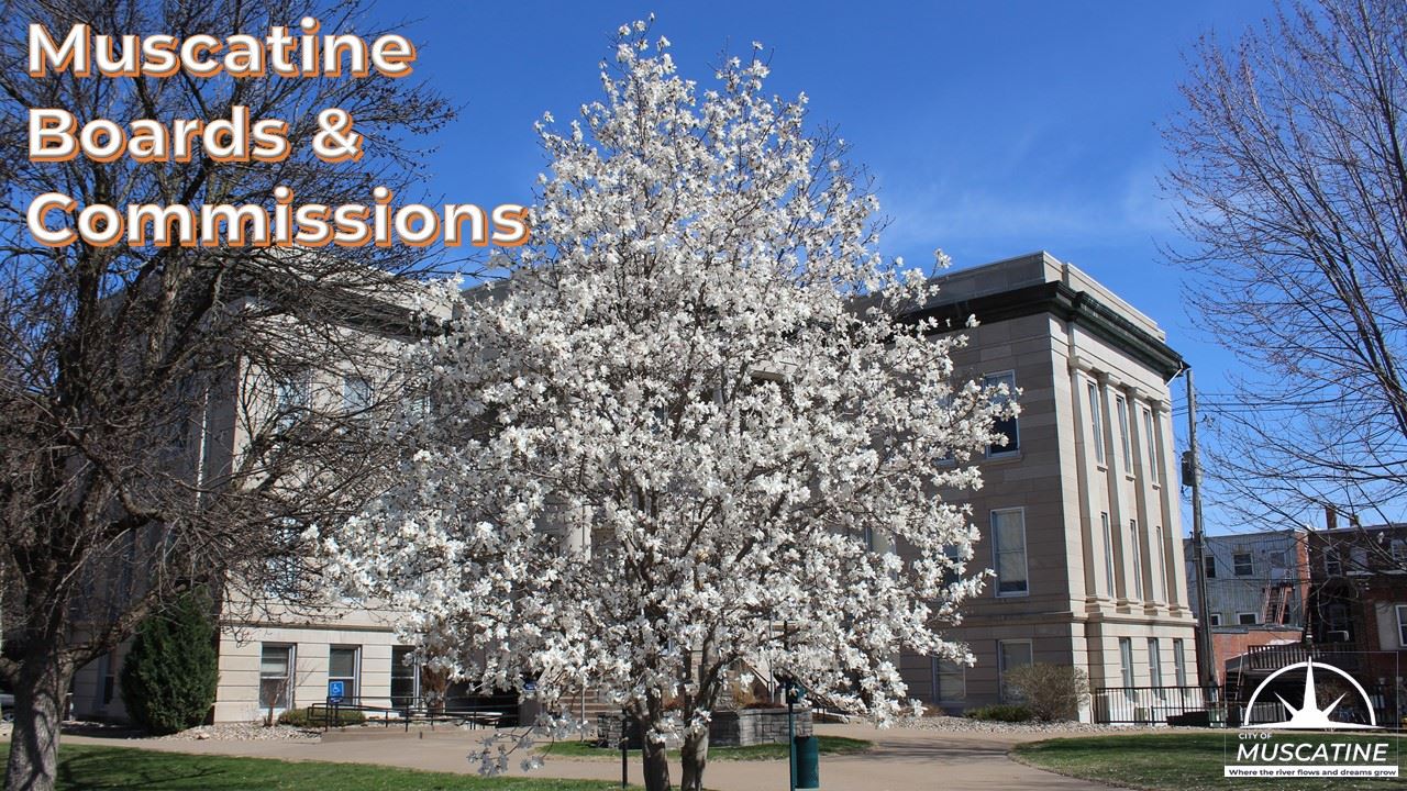 Muscatine Boards and Commission (JPG) Promo showing City Hall Star Magnolia in bloom